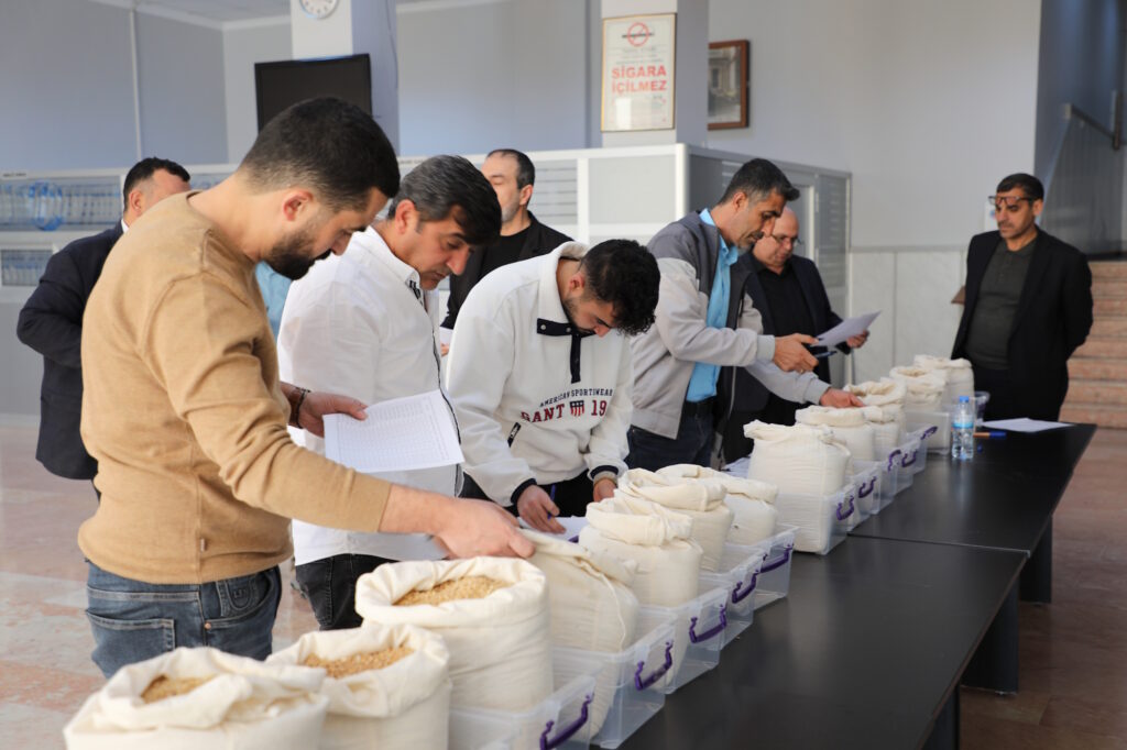 GTB’de 15 bin ton buğday ihale usulüyle satışa sunuldu