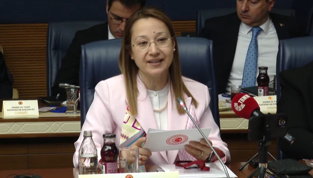 TBMM’de Görev Dağılımı Belli Oldu: Derya Bakbak’a Önemli Görev