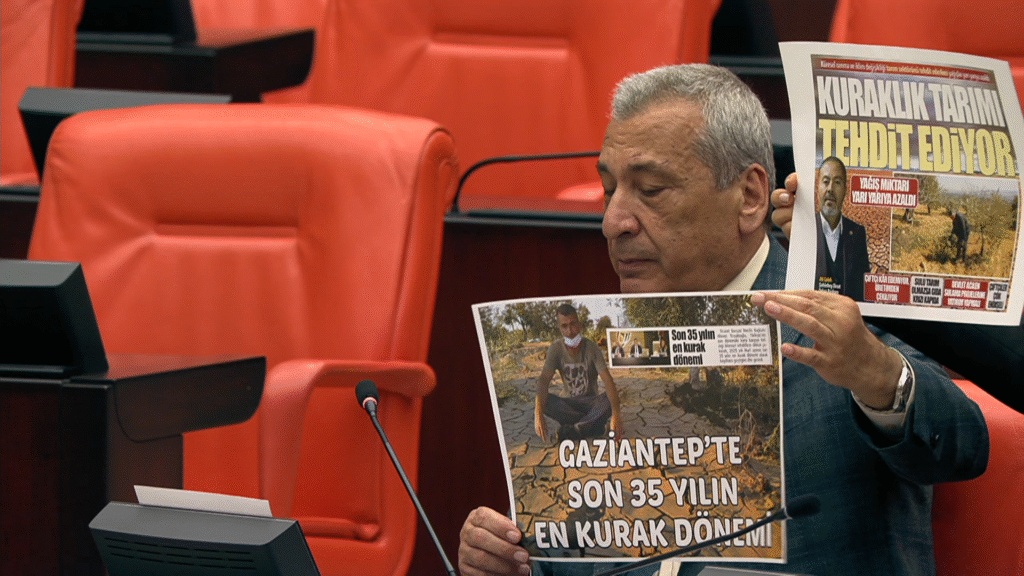 Kuraklığın vurduğu Antep’te tarım arazileri otlak alanına dönüştü!