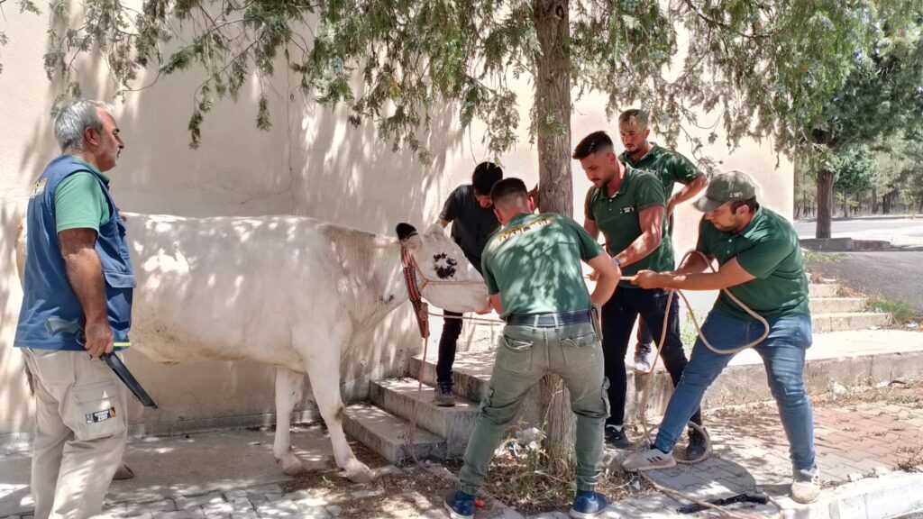 Büyükşehir Belediyesi Kurban Bayramı Mesaisini Yoğun Şekilde Tamamladı