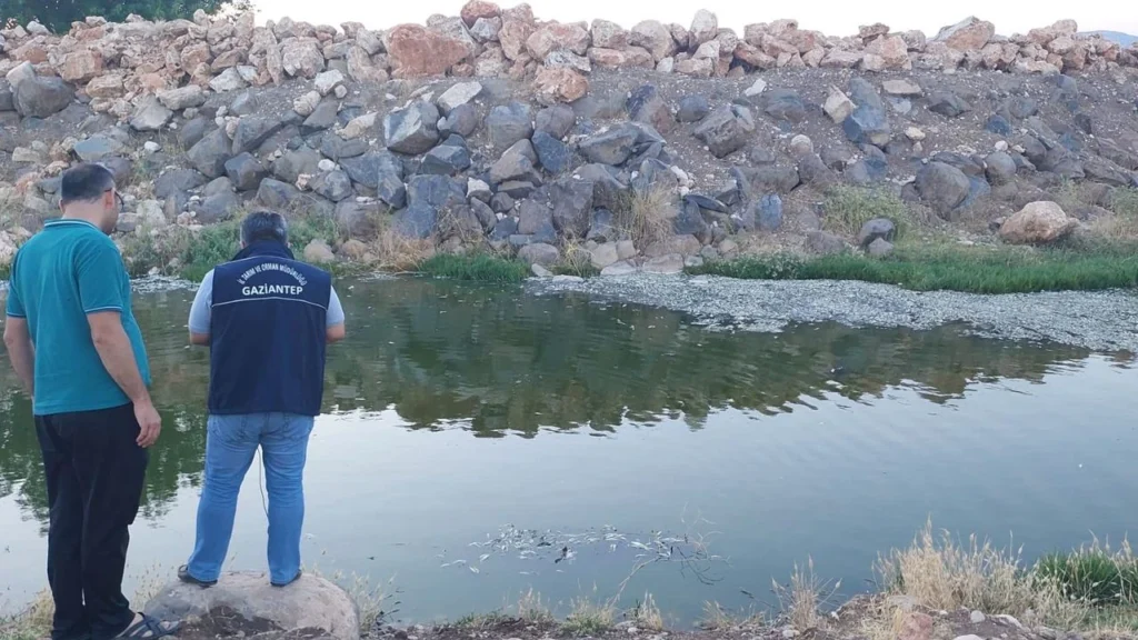 Gaziantep’te Balık Ölümlerinin Sebebi Belli Oldu