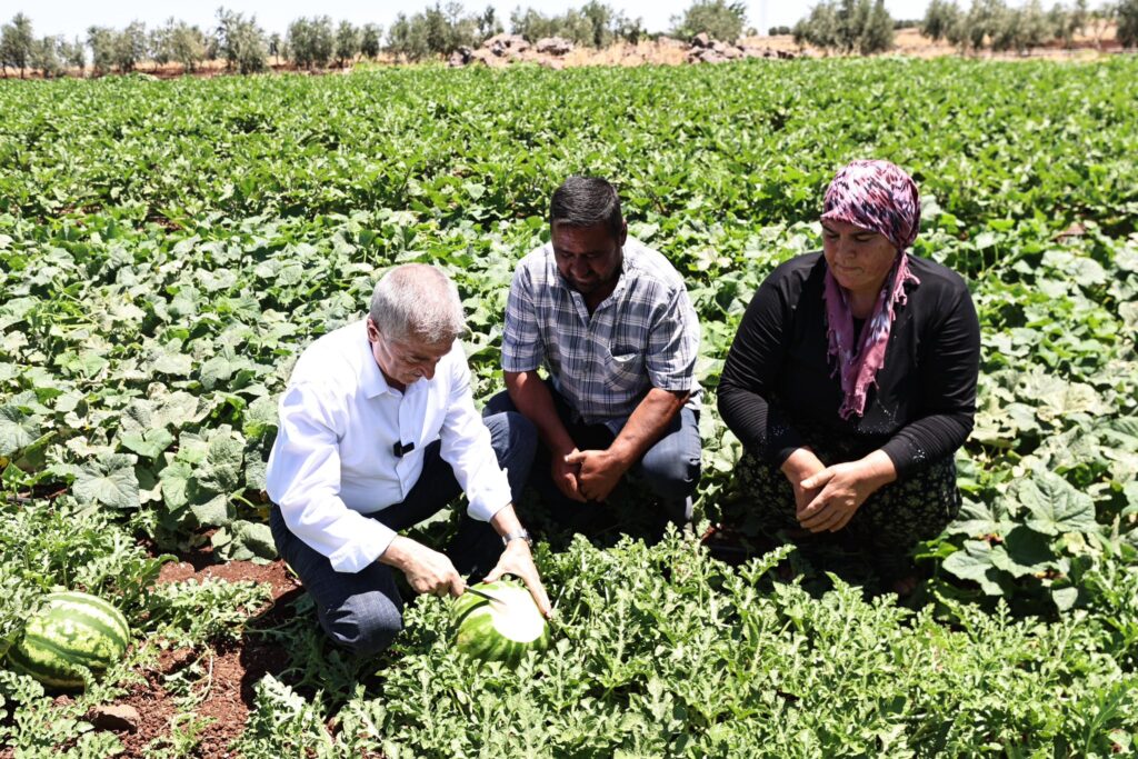 Başkan Tahmazoğlu, Çiftçilerle Tarlada Hasat Yaptı
