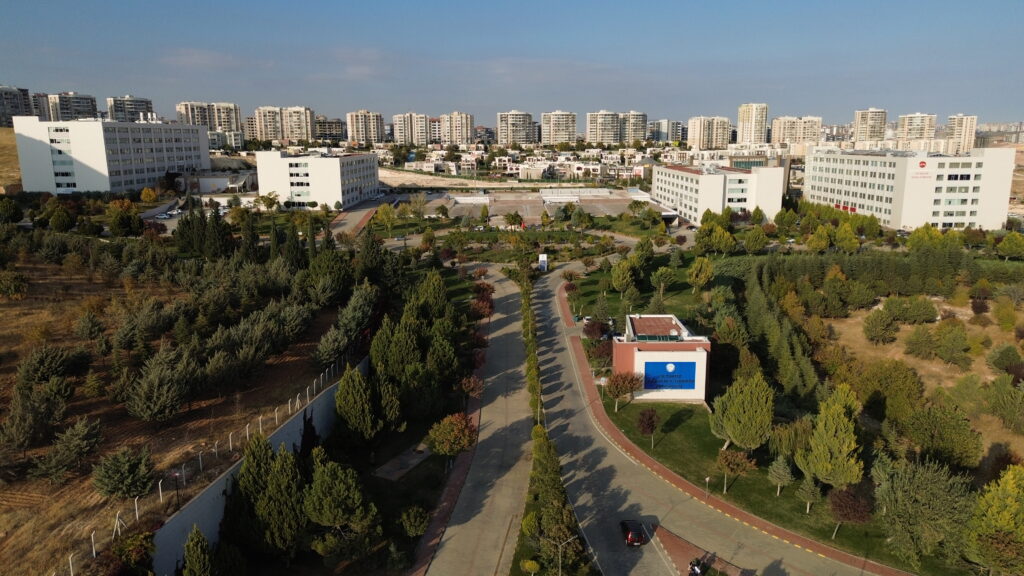 GİBTÜ TTO kuruluyor