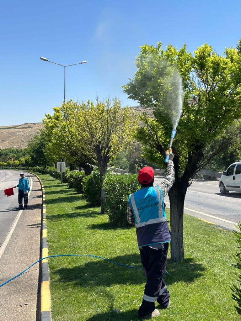 Gaziantep Büyükşehir’den kene ve diğer zararlılara karşı tedbir amaçlı ilaçlama
