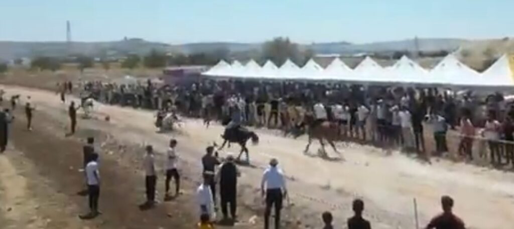 Gaziantep’te AK Partili başkan attan düştü! yoğun bakımda