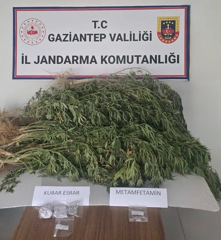Gaziantep’te jandarmadan uyuşturucu ve kaçakçılığa darbe