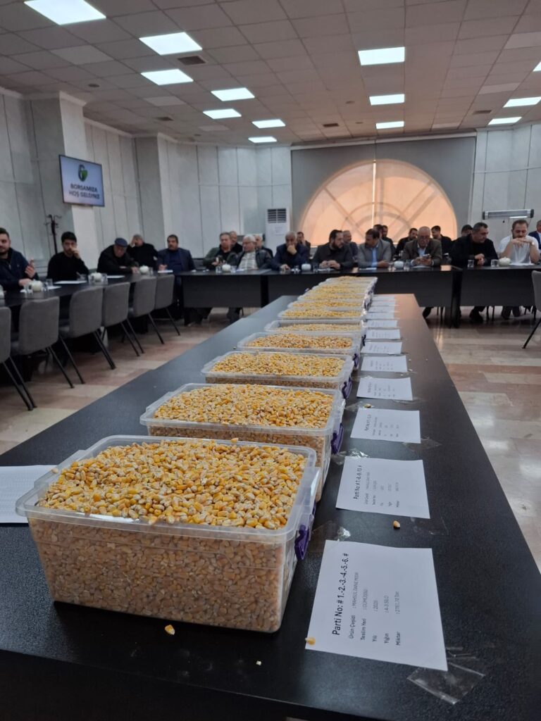 TİGEM’in 15 Bin Ton Mısırı GTB’de İhaleyle Satıldı